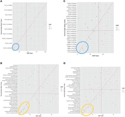 Synergistic Effects of Genetic Variants of Glucose Homeostasis and Lifelong Exposures to Cigarette Smoking, Female Hormones, and Dietary Fat Intake on Primary Colorectal Cancer Development in African and Hispanic/Latino American Women